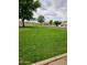 Expansive community green space with lush grass and mature trees, perfect for recreation at 4628 W Whispering Wind Dr, Glendale, AZ 85310