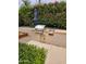 Outdoor kitchen with a built-in stainless steel grill and well-kept surrounding greenery at 4628 W Whispering Wind Dr, Glendale, AZ 85310