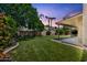 Large backyard features a well-manicured lawn, mature trees, and a covered patio at 664 E Windsor Dr, Gilbert, AZ 85296