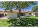 Home exterior with a covered patio, well-kept lawn, and mature shade tree at 8160 E Keats Ave # 364, Mesa, AZ 85209