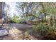 Expansive backyard with mature trees and natural landscaping at 116 E Helena Dr, Phoenix, AZ 85022