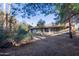 Expansive backyard with mature trees and an enclosed patio at 116 E Helena Dr, Phoenix, AZ 85022