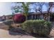 Charming single-story home boasts lush landscaping and mature trees at 116 E Helena Dr, Phoenix, AZ 85022