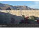 Landscaped backyard with block wall and mountain views at 12176 E Chevelon Trl, Gold Canyon, AZ 85118