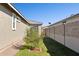 Side yard with grass, decorative tree and direct gate access to front yard at 12176 E Chevelon Trl, Gold Canyon, AZ 85118