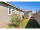 Side yard featuring a green landscape and a storage shed for tools and equipment at 12176 E Chevelon Trl, Gold Canyon, AZ 85118