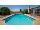 Sparkling pool in a private backyard with lush landscaping at 12811 N 44Th Dr, Glendale, AZ 85304