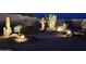 Backyard featuring desert plants, decorative pottery, and ambient lighting on gravel ground at 17179 S 174Th S Dr, Goodyear, AZ 85338