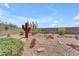 Landscaped backyard featuring desert plants, decorative rocks, and a seating area, creating a tranquil space at 17179 S 174Th S Dr, Goodyear, AZ 85338