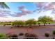 Scenic backyard view with desert landscaping, decorative art, and mature trees, creating a serene outdoor space at 17363 W Lisbon Ln, Surprise, AZ 85388