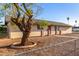 Quaint single-story home featuring low-maintenance rock landscaping and mature desert trees at 1751 W Carol Ave, Mesa, AZ 85202