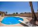 Sparkling blue pool with diving board, surrounded by concrete and desert landscaping at 18402 N 17Th Ave, Phoenix, AZ 85023