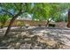 Picturesque backyard with mature trees, manicured landscaping, providing a relaxing outdoor space at 2957 E Melrose St, Gilbert, AZ 85297
