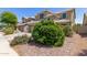 View of the front yard landscaping including green bushes, rock ground cover, and green grass at 3929 W Goldmine Mountain Dr, San Tan Valley, AZ 85144