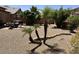 Desert landscaped backyard with gravel, palm trees and outdoor furniture at 4322 E Cottonwood Ln, Phoenix, AZ 85048