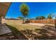 Fenced backyard featuring a tree and some grass at 5738 W Heatherbrae Dr, Phoenix, AZ 85031