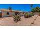 This home features desert landscaping with green foliage and an expansive patio at 916 W Loughlin Dr, Chandler, AZ 85225