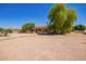Expansive backyard boasts mature trees, desert landscaping, and a covered patio for comfortable outdoor living at 9658 W Golddust Dr, Queen Creek, AZ 85144