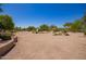 Large, spacious backyard featuring desert landscaping, mature trees, and a detached structure at 9658 W Golddust Dr, Queen Creek, AZ 85144