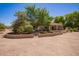Huge backyard, featuring desert landscaping, covered patio, and mature trees, providing plenty of shade at 9658 W Golddust Dr, Queen Creek, AZ 85144