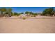 The vast backyard with desert landscaping features mature trees, a trailer, and a detached shed at 9658 W Golddust Dr, Queen Creek, AZ 85144