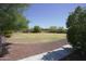 A large backyard is enclosed by desert landscaping, featuring mature trees and gravel for easy maintenance at 16386 W Papago St, Goodyear, AZ 85338