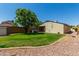 Lush backyard with green grass, mature tree, and privacy fence offers ample space for outdoor activities at 19833 N 47Th Ln, Glendale, AZ 85308