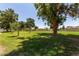 Expansive green community park with mature trees, perfect for outdoor activities and relaxation at 19833 N 47Th Ln, Glendale, AZ 85308