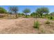 Community dirt road with surrounding natural vegetation and trees in a well-maintained neighborhood at 19833 N 47Th Ln, Glendale, AZ 85308