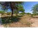 Expansive community green space with mature trees and native landscaping in a quiet neighborhood at 19833 N 47Th Ln, Glendale, AZ 85308