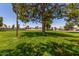 Large, manicured community green space with mature shade tree, and well-maintained lawn at 19833 N 47Th Ln, Glendale, AZ 85308