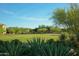 Expansive community green space with lush landscaping and beautiful neighborhood homes at 20704 N 90Th Pl # 1015, Scottsdale, AZ 85255