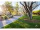 Scenic community walking path through lush green spaces, perfect for an evening stroll at 20704 N 90Th Pl # 1015, Scottsdale, AZ 85255