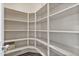 Walk-in pantry with ample shelving for storage in a modern home at 22812 N 123Rd Dr, Sun City West, AZ 85375