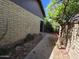 View of the side yard, with fruit tree, block wall, and walkway to side entrance at 2515 S Maple Ave # 103, Tempe, AZ 85282
