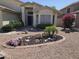 Well-manicured front yard with desert landscaping and mature trees at 2629 E Verbena Dr, Phoenix, AZ 85048