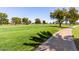 Golf course view with mature trees, lush green grass, and a paved walking path. Great place for recreation and relaxation at 4738 N Greenview W Cir, Litchfield Park, AZ 85340