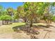 A lush backyard, featuring mature trees and a comfortable bench, provides a peaceful space for relaxation at 504 N Emerson --, Mesa, AZ 85201