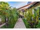 Beautiful backyard walkway lined with tropical plants, leading to an inviting outdoor seating area at 6941 W Voltaire Ave, Peoria, AZ 85381