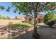 Backyard with lush green grass and landscaping and stone accents at 1058 W Swan Dr, Chandler, AZ 85286