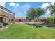 Lush backyard with a pool and trampoline, perfect for active Gathering fun at 11129 E Reginald Ave, Mesa, AZ 85212