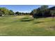 Green space with grass and trees in the neighborhood at 1228 W Snowbell Ave, Queen Creek, AZ 85140