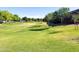 View of a spacious green belt featuring mature shade trees and manicured lawn at 1228 W Snowbell Ave, Queen Creek, AZ 85140
