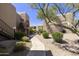 Well-maintained exterior walkway with mature trees and bushes creating a tranquil and inviting atmosphere at 14910 N Kings Way # 206, Fountain Hills, AZ 85268