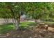 A lush backyard with mature citrus trees and a picnic table at 18132 E Vencino St, Gilbert, AZ 85298