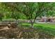 Picturesque backyard featuring mature trees, a picnic table, and a glimpse of the home's outdoor seating area at 18132 E Vencino St, Gilbert, AZ 85298
