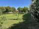 Expansive backyard with lush green grass, mature trees and a house in the background at 18132 E Vencino St, Gilbert, AZ 85298
