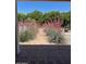 A view of the backyard with lush pink plants and paved walkway at 18132 E Vencino St, Gilbert, AZ 85298
