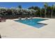 Beautiful backyard pool surrounded by concrete patio and lush greenery at 18132 E Vencino St, Gilbert, AZ 85298