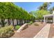 Private backyard featuring lush greenery, mature trees, and a tranquil garden setting at 19 E Boca Raton Rd, Phoenix, AZ 85022